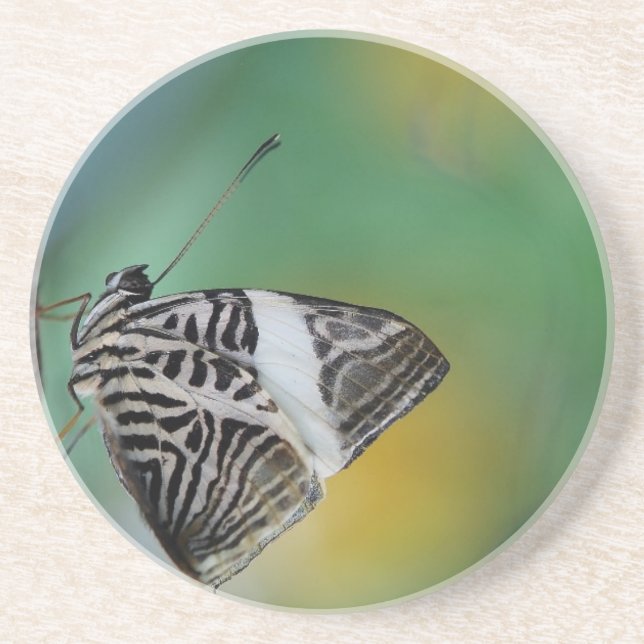 Dessous De Verre En Grès Papillon Tigre Noir et Blanc (Devant)