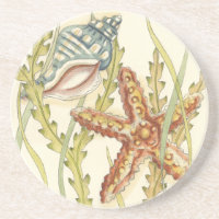 Partie Shell multicolore