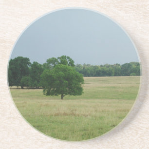Dessous De Verre En Grès Paysage de l'Alabama
