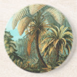 Dessous De Verre En Grès Paysage tropical avec palmier<br><div class="desc">La 92e assiette de "Kunstformen der Natur" d'Ernst Haeckel (1904),  représentant des organismes classés comme Filicinae. Source : Kunstformen der Natur (1904),  plaque 92 : Filicinae aux chutes de Tjiburrum près de Tjibodas,  Mont Gede,  Java PD-US</div>