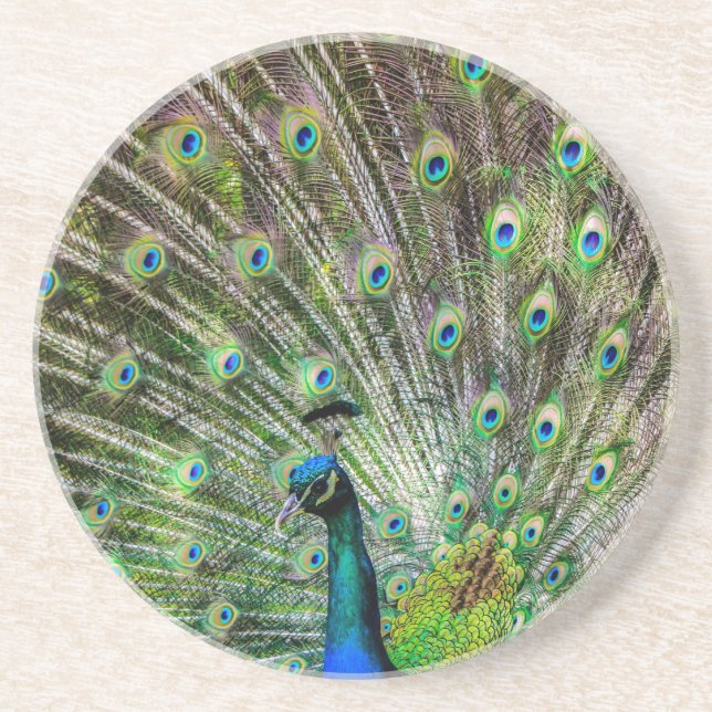 Dessous De Verre En Grès Peacock étonnant et plumes accessoires photo (Devant)