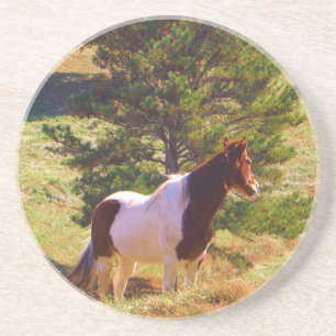 Dessous De Verre En Grès Peint Poney par le pin