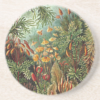 Dessous De Verre En Grès Peinture de champignon d'herbe Haeckel Moss