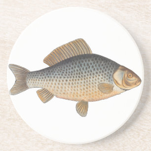Dessous De Verre En Grès peinture de pêche de carpe dessin d'eau douce