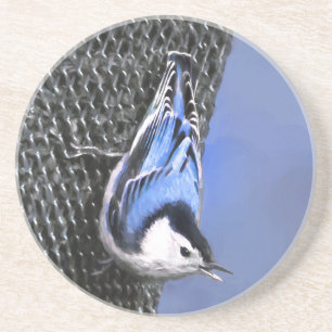 Dessous De Verre En Grès Peinture Nuthatch à poitrine blanche Art original
