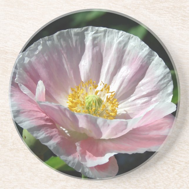 Dessous De Verre En Grès Peinture sur le pavot (Devant)