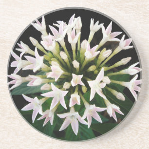 Dessous De Verre En Grès Pentas blancs