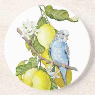 Dessous De Verre En Grès Perroquet bleu dans l'arbre à citrons - Art botani
