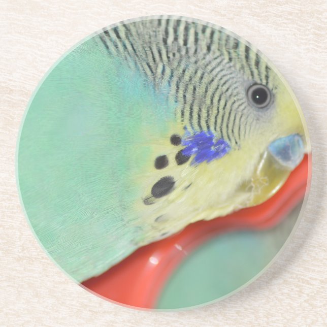 Dessous De Verre En Grès Perruche regardant dans le miroir (Devant)