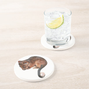 Dessous De Verre En Grès Petit Bébé Singtail Possum