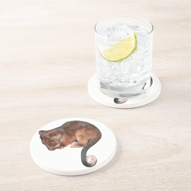 Dessous De Verre En Grès Petit Bébé Singtail Possum (Côté)