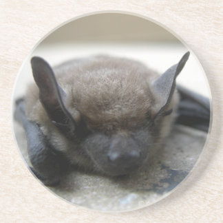 Dessous De Verre En Grès Petite chauve-souris brune (Myotis lucifugus)