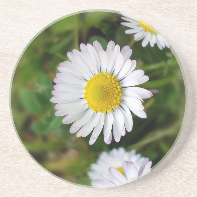 Dessous De Verre En Grès Petites marguerites (Devant)