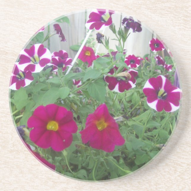 Dessous De Verre En Grès Pétunias rose (Devant)