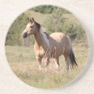 Dessous De Verre En Grès Photo de cheval tobiano buckskin posant dans un pâ