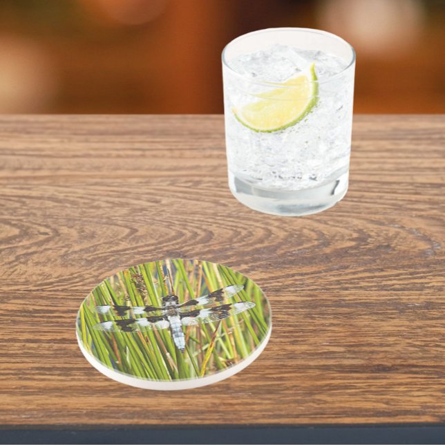 Dessous De Verre En Grès Photo de libellule d'écrémage blanc commun (In Situ)