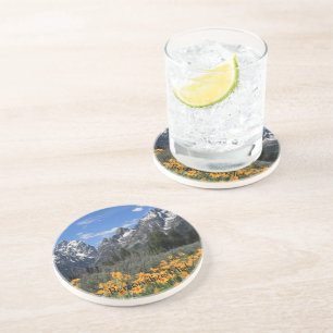 Dessous De Verre En Grès Photo Grand Teton Springtime Souvenir