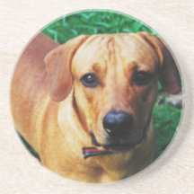 Photo personnalisée sur mesure ronde