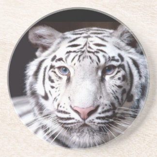 Dessous De Verre En Grès Photographie blanche de tigre de Bengale