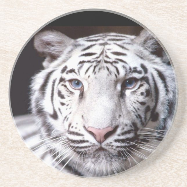 Dessous De Verre En Grès Photographie blanche de tigre de Bengale (Devant)