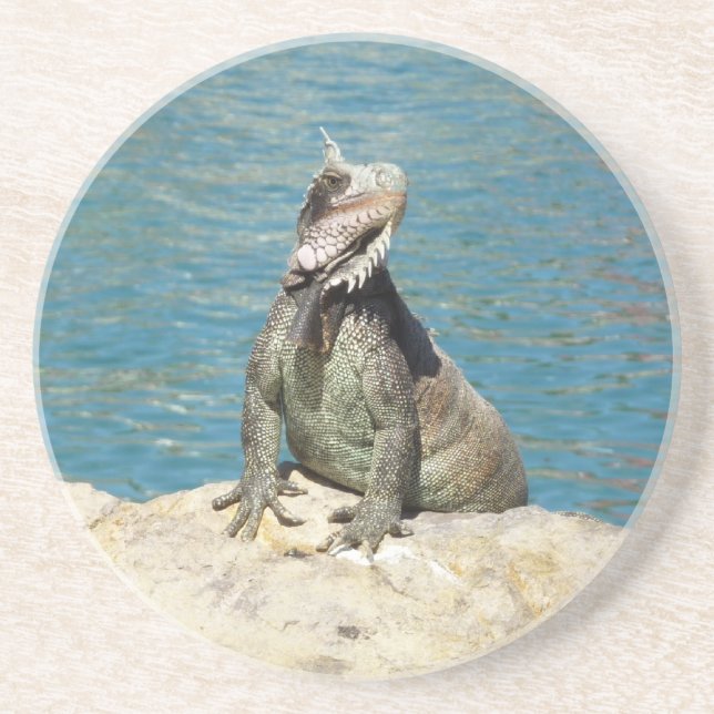 Dessous De Verre En Grès Photographie de la faune tropicale d'Iguana (Devant)