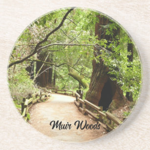 Dessous De Verre En Grès Photographie de la nature du chemin Muir Woods II