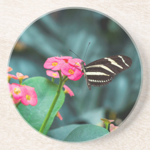 Dessous De Verre En Grès Photographie de papillon sur fleur rose