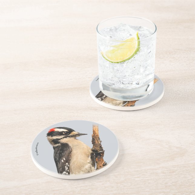 Dessous De Verre En Grès Pic Downy mou sur arbre aux fruits (Côté)