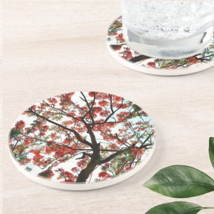 Dessous De Verre En Grès Pierre flamboyante Royal Poinciana