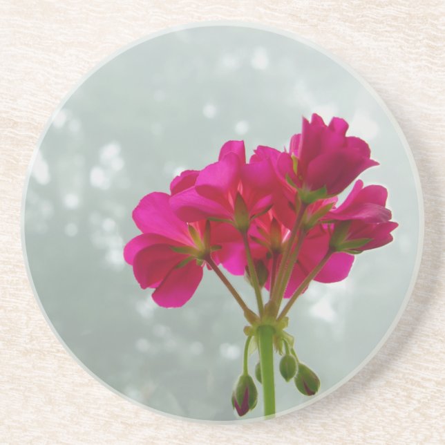 Dessous De Verre En Grès Pink Geranium Photography Sandstone Coaster (Devant)