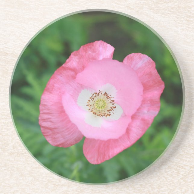 Dessous De Verre En Grès Pink poppy (Devant)