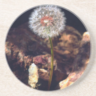 Dessous De Verre En Grès Pissenlit