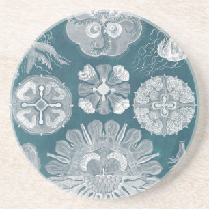 Dessous De Verre En Grès Plan directeur de la vie marine IV