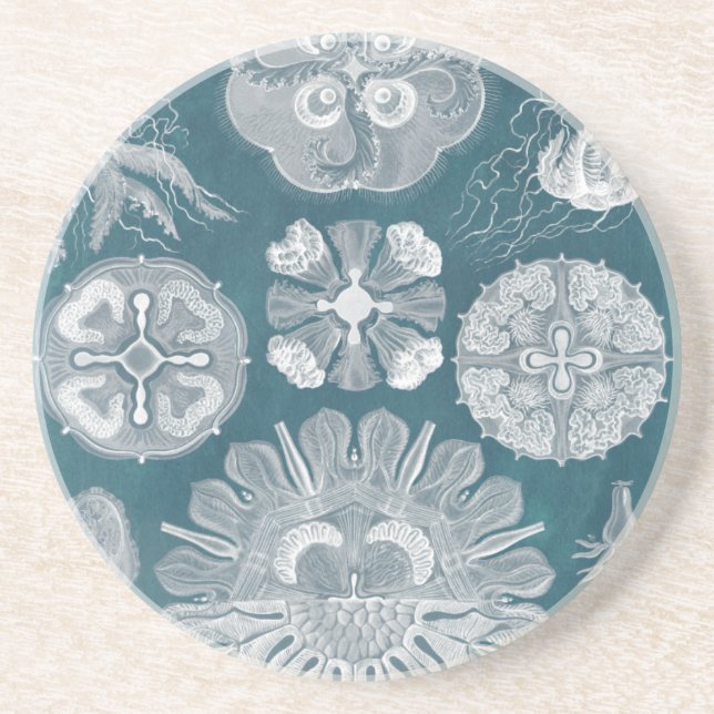 Dessous De Verre En Grès Plan directeur de la vie marine IV (Devant)