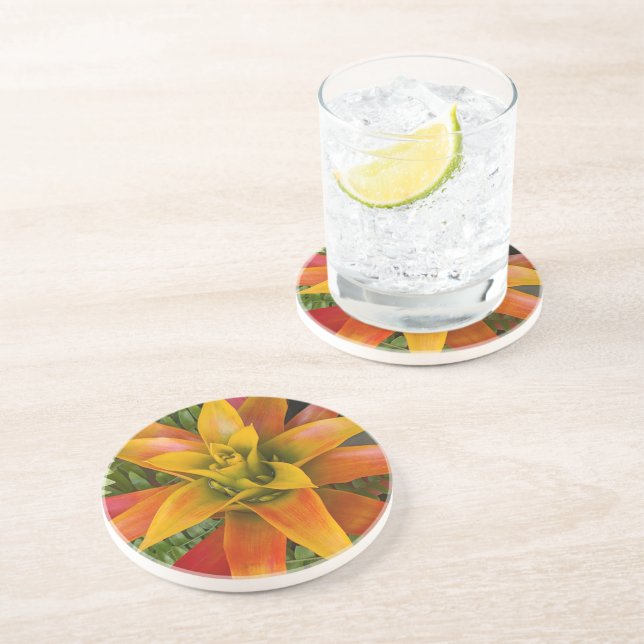 Dessous De Verre En Grès Plante florale de bromélie Guzmania (Côté)