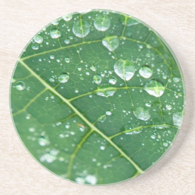 Dessous De Verre En Grès Pluie sur Papaya Leaf (Devant)