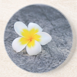 Dessous De Verre En Grès Plumeria