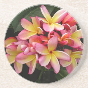 Dessous De Verre En Grès Plumeria tropicale rose et jaune