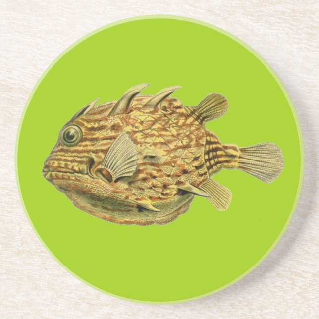 Dessous De Verre En Grès Poisson de Haeckel (Devant)