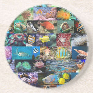 Dessous De Verre En Grès Poisson et animaux marins de récif corallien, coll