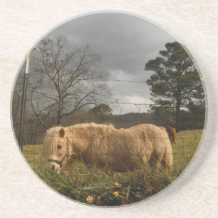 Dessous De Verre En Grès Poney miniature blond / Cheval