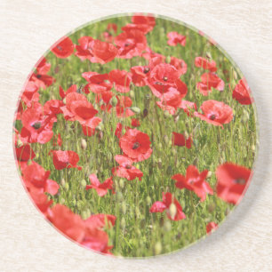Dessous De Verre En Grès Poppy field