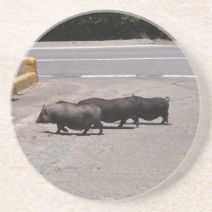 Dessous De Verre En Grès Porcs noirs sauvages
