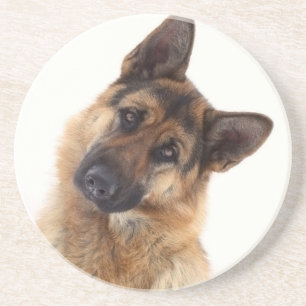Dessous De Verre En Grès Portrait amusant et adorable de berger allemand