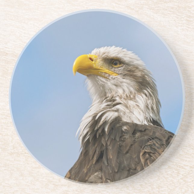Dessous De Verre En Grès Portrait d'aigle à tête blanche Art animalier (Devant)