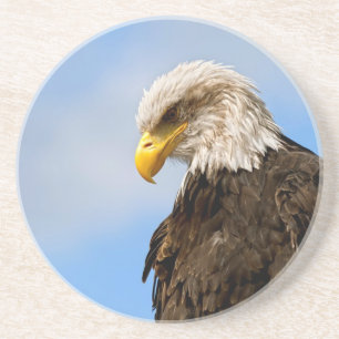 Dessous De Verre En Grès Portrait d'aigle à tête blanche Art animalier