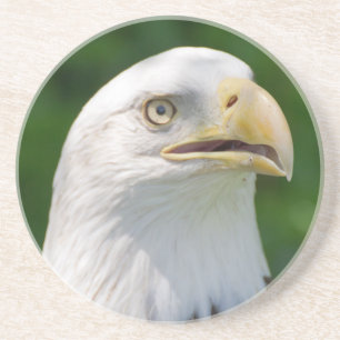 Dessous De Verre En Grès Portrait de Bald Eagle