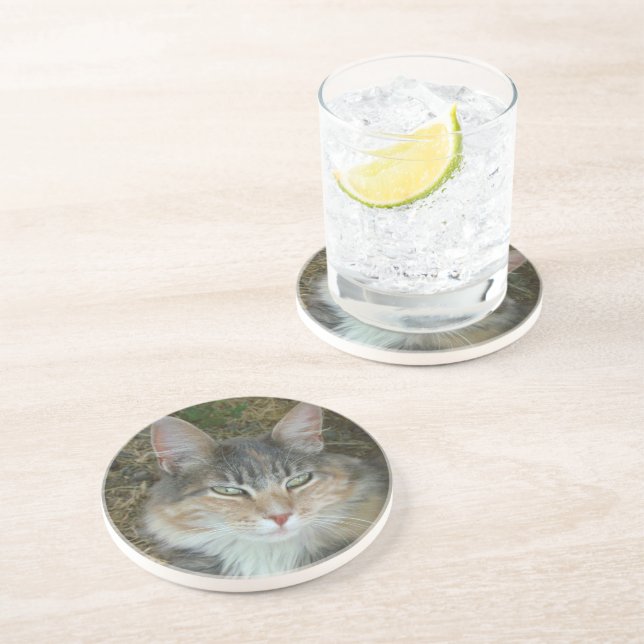 Dessous De Verre En Grès Portrait de chat (Côté)