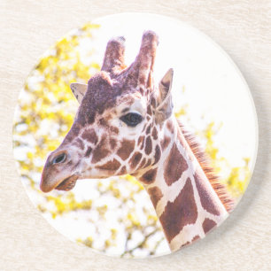 Dessous De Verre En Grès Portrait de Giraffe