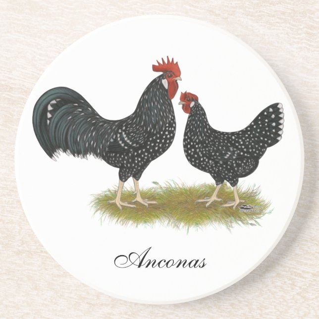 Dessous De Verre En Grès Poulets d'Ancône (Devant)